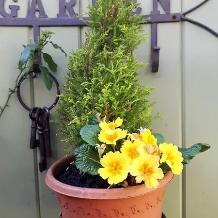 Cosy In With Balcony 32 M² View * Galway